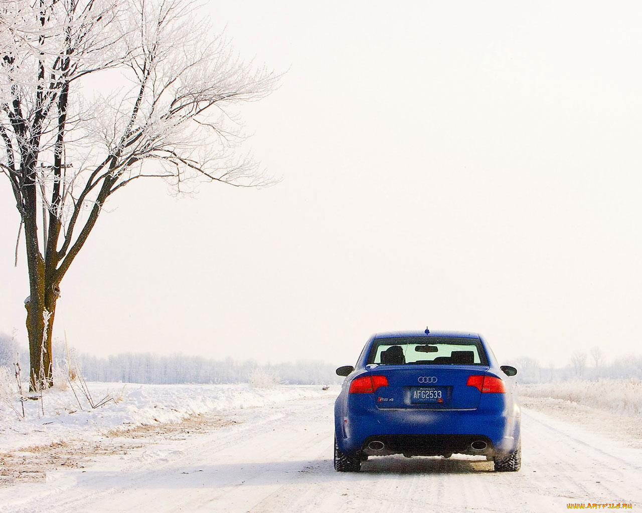 , audi